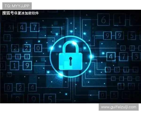 空间壹号app下载官网安全下载入口，保障用户隐私与数据安全